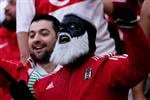 galleryImg