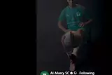galleryImg