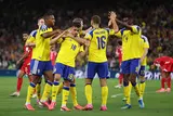 لقطات من مباراة السويد وتونس في كأس العالم (صور)