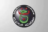 6 قنوات مجانية سهلة الاستقبال تنقل مواجهة مصر وبلجيكا في كأس العالم (صور)