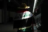 أجواء رائعة من جماهير السنغال والعراق في كأس العالم (صور)