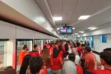 galleryImg
