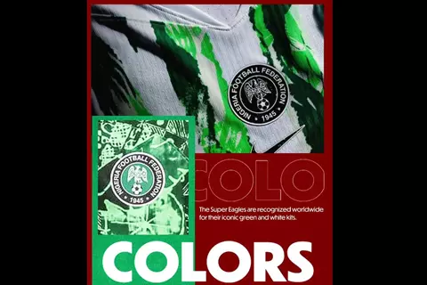 معلومات عن منتخب نيجيريا قبل بداية أمم أفريقيا