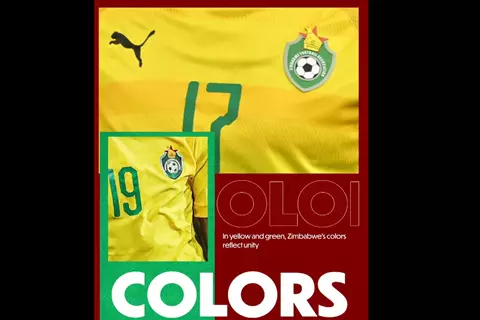 تعرف على تاريخ زيمبابوي في بطولة أمم أفريقيا