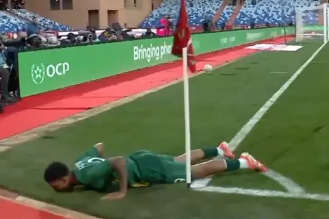 هدف جنوب أفريقيا الثاني أمام زيمبابوي (لايلي فوستر)