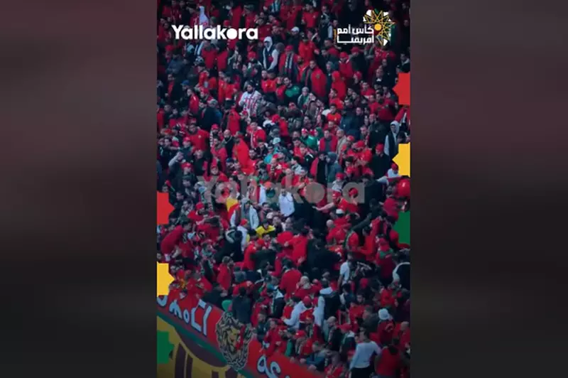 خناقة في مدرجات جماهير المغرب بالمباراة النهائية أمام السنغال