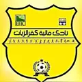 شعار مالية كفر الزيات
