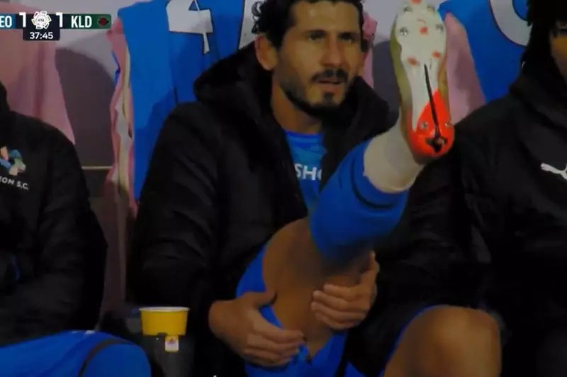 أحمد حجازي