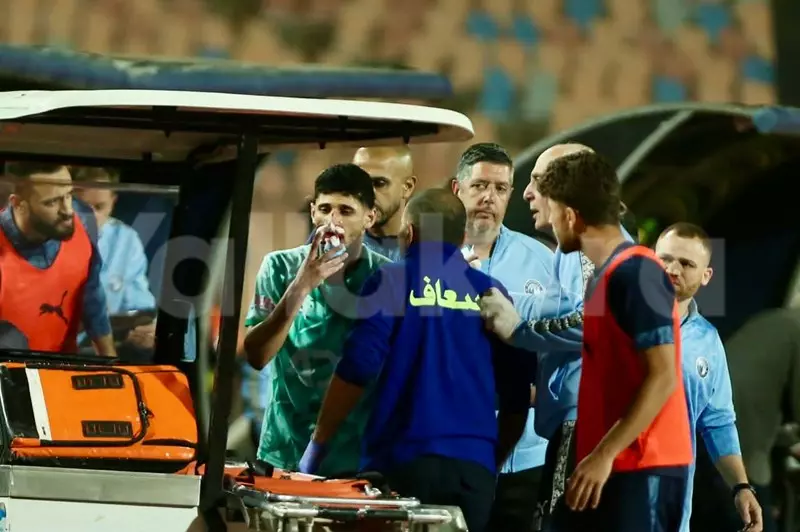 بعد جراحة الأنف.. قطة يعود إلى تدريبات بيراميبدز