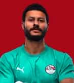 محمد الشناوي