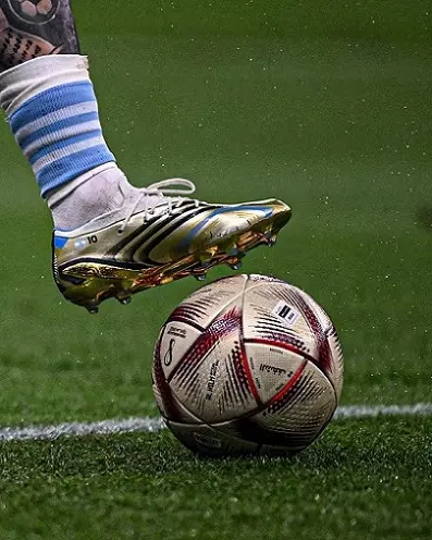 5 نجوم عالميين لا يحبون كرة القدم