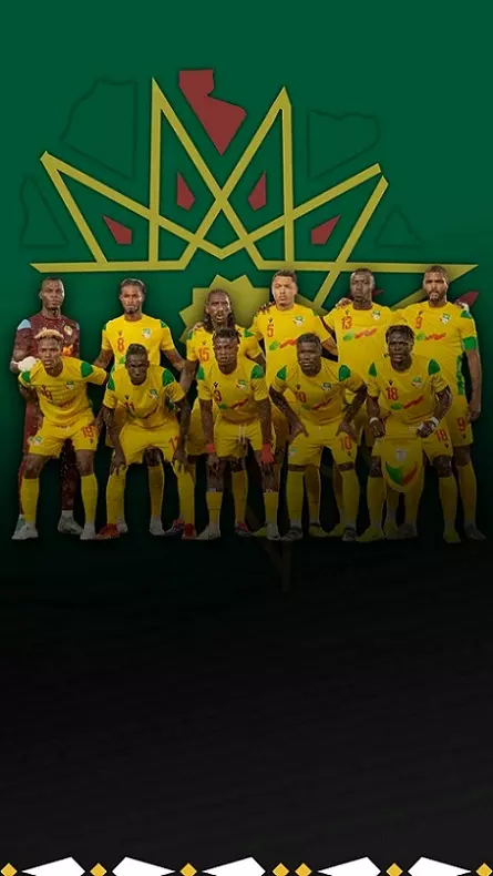 من السناجب إلى الفهود.. لماذا تغير لقب منتخب بنين؟