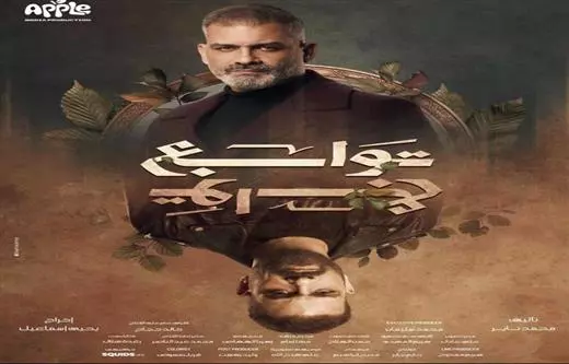 هاني عادل (توابع)