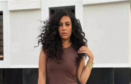 دنيا سامي (فن الحرب)